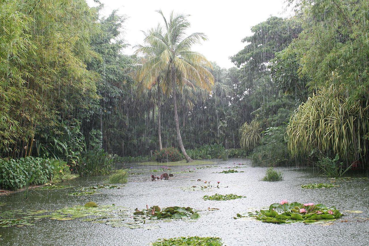 Deshaies, Guadeloupe